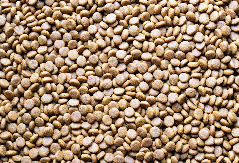 Animal Feed Bentonite
